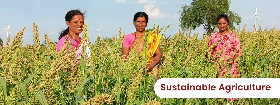 Sustainable Agriculture | Sahaja Samrudha