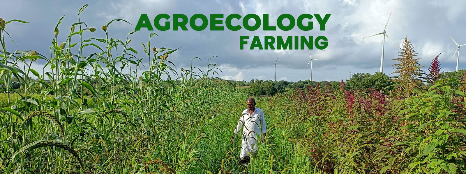 acgroecology-1