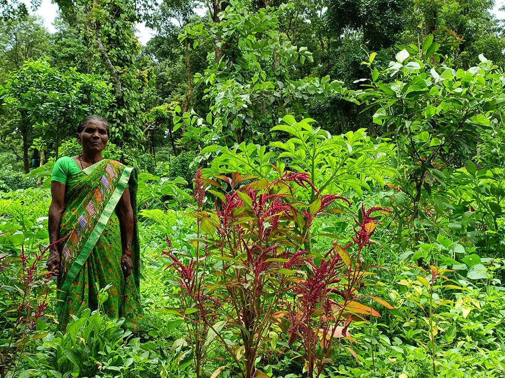 acgroecology-farming