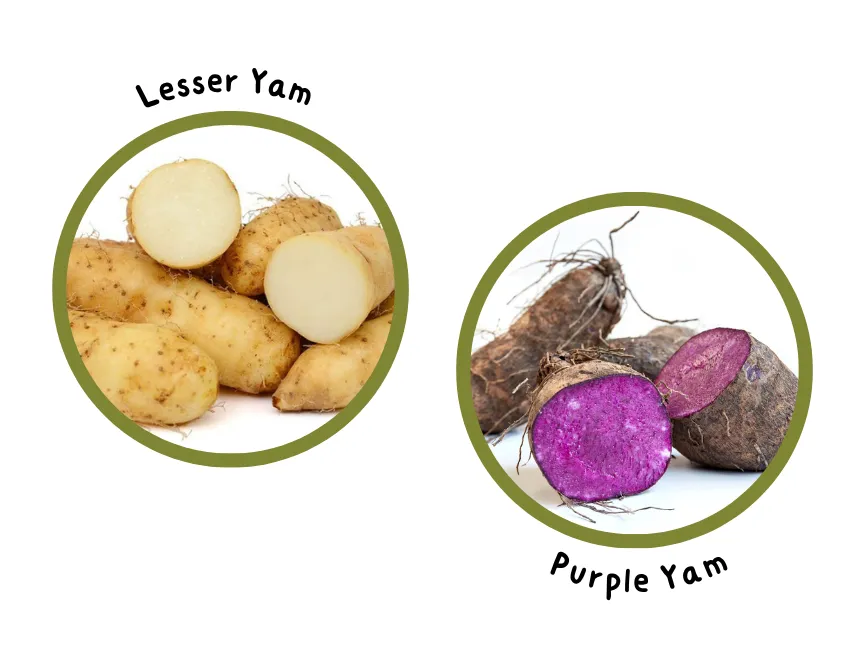 Roots & Tubers